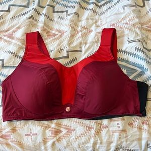 Lane Bryant Livi Active high impact sports bra